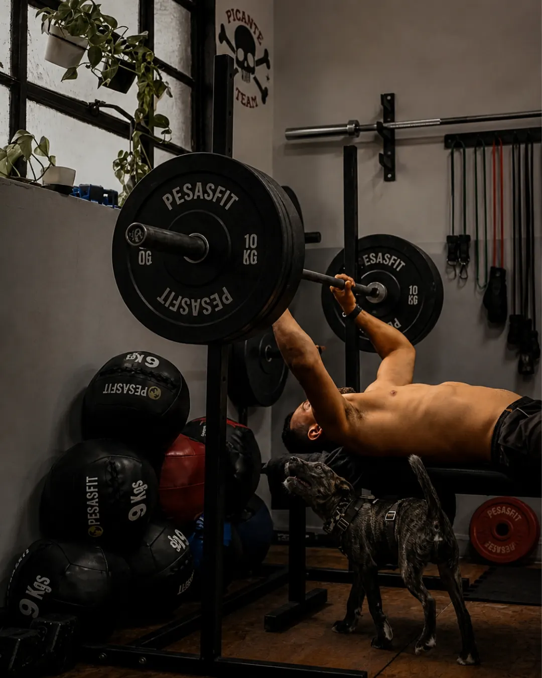 Combos de entrenamiento armados